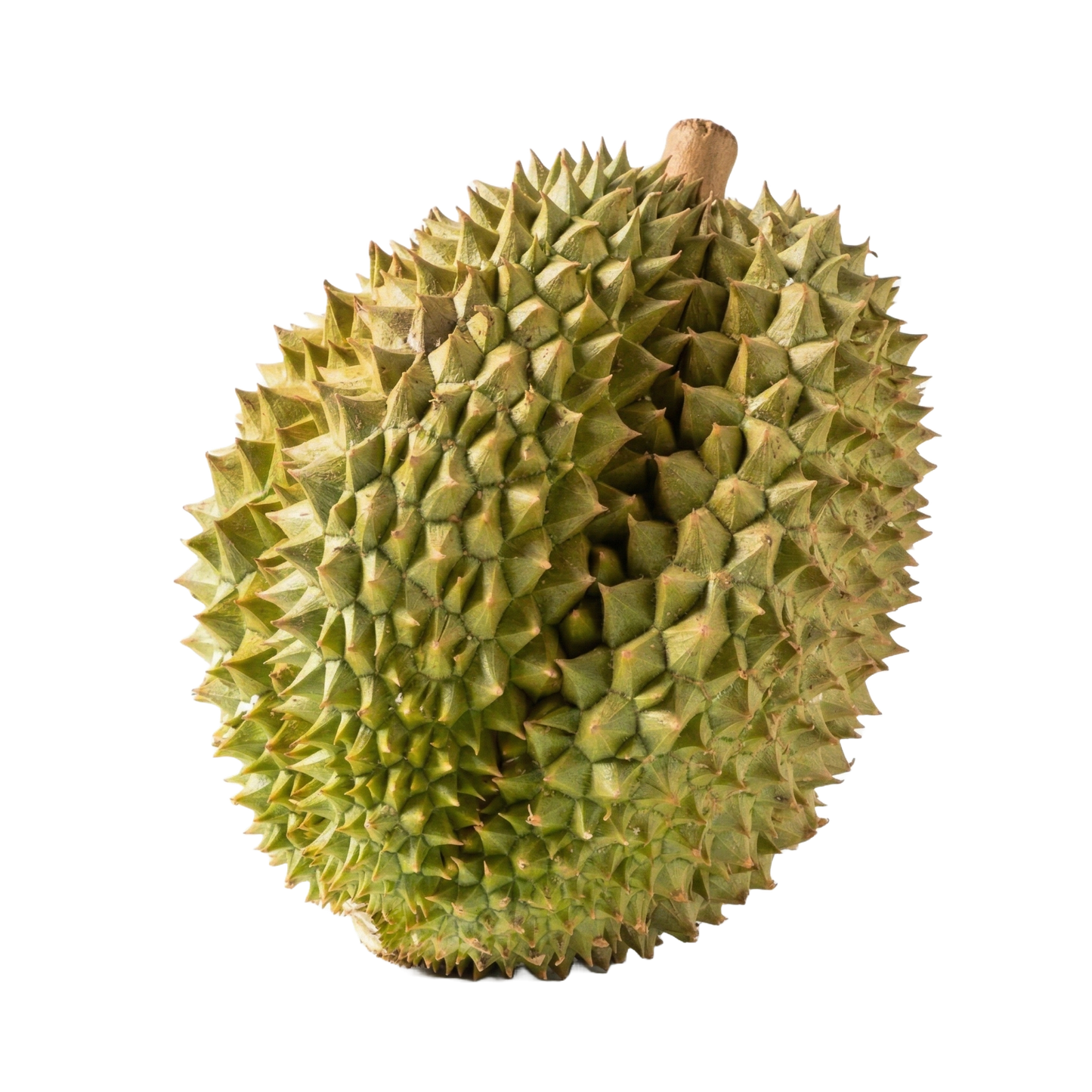 冷冻“猫山王榴莲”1个