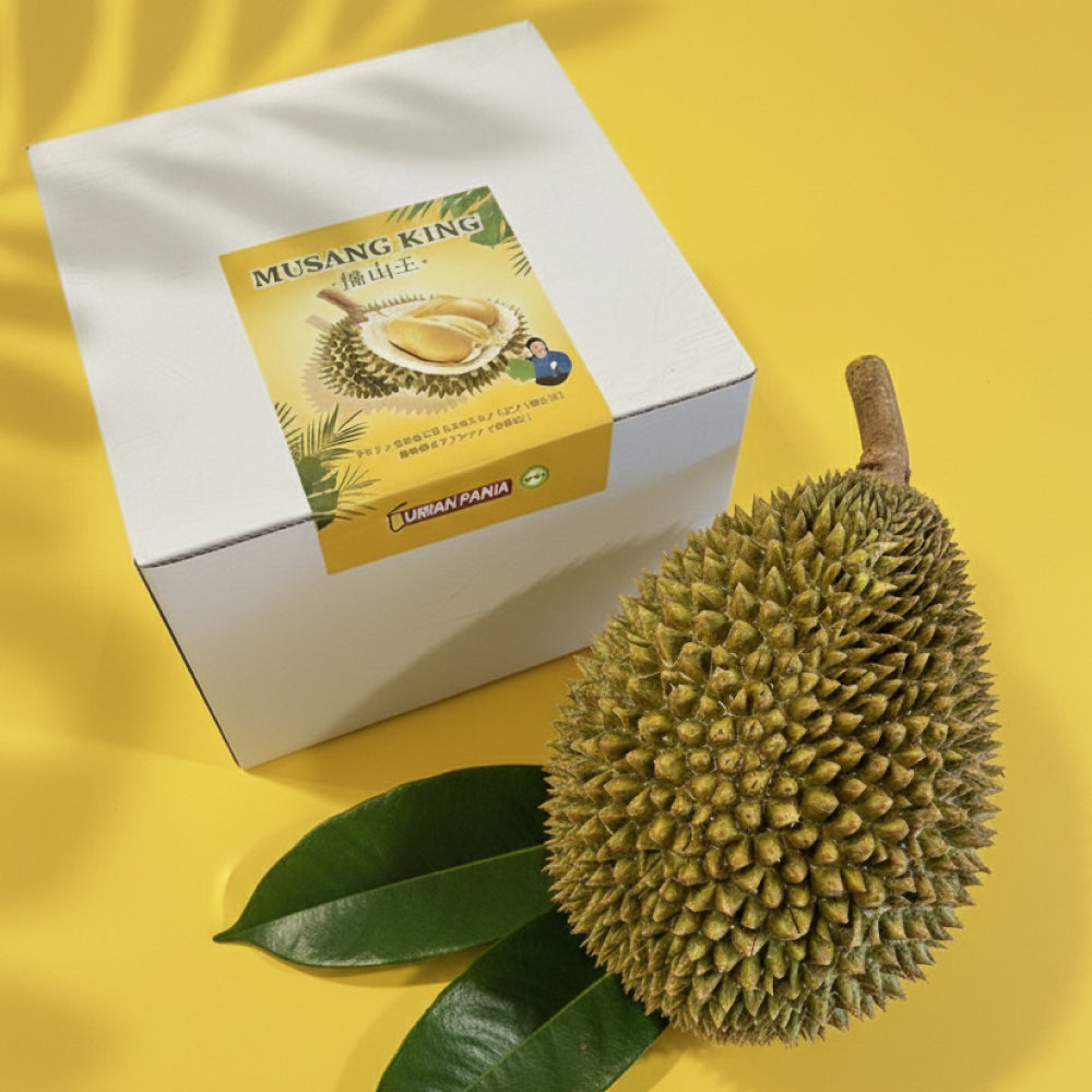 冷凍「猫山王（ムサンキング）ドリアン」1玉